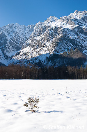 080 Deutschland - Bayern - Watzmann am Koenigsee