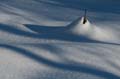 029 Deutschland - Bayern - Lusen - Schneeimpressionen