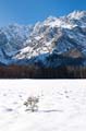 080 Deutschland - Bayern - Watzmann am Koenigsee