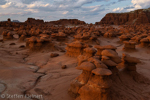 Goblin Valley, Hoodoos, Utah, USA 56