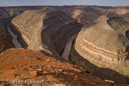 Goosenecks SP, Utah, USA 14