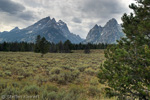 Grand Teton NP, Wyoming, USA 18