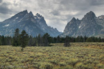 Grand Teton NP, Wyoming, USA 19