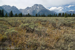 Grand Teton NP, Wyoming, USA 20