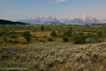 Grand Teton NP, Wyoming, USA 41