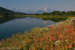 Grand Teton NP, Wyoming, USA 42