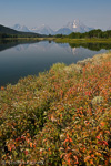 Grand Teton NP, Wyoming, USA 43