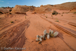 Great Wall, Arizona, USA 27