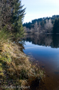 Harz 004, Okerstausee, bereifte Baeume, Spiegelung, reflection