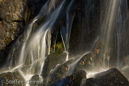 Harz 033 Radauwasserfall, Gegenlicht, Details, Herbst