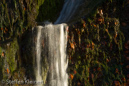 Harz 035 Radauwasserfall, Gegenlicht, Details, Herbst