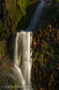 Harz 036 Radauwasserfall, Gegenlicht, Details, Herbst