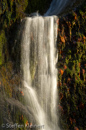 Harz 037 Radauwasserfall, Gegenlicht, Details, Herbst