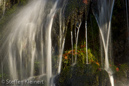 Harz 040 Radauwasserfall, Gegenlicht, Details, Herbst