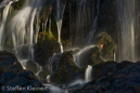 Harz 041 Radauwasserfall, Gegenlicht, Details, Herbst