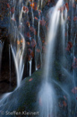 Harz 043 Radauwasserfall, Gegenlicht, Details, Herbst