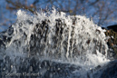 Harz 048 Radauwasserfall, Gegenlicht, Details, Herbst