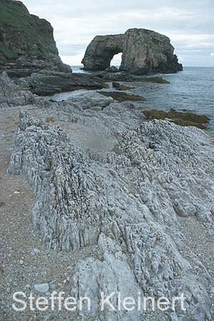 irland - fanad head 072