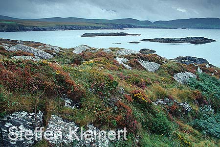 irland - ring of beara 016