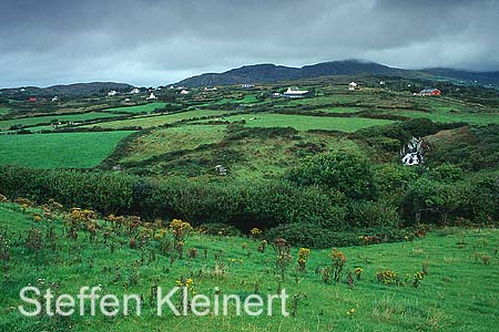 irland - ring of beara 018