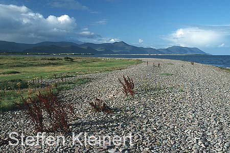 irland - ring of kerry 019