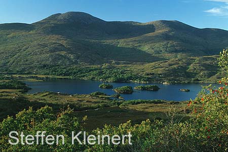 irland - ring of kerry 028