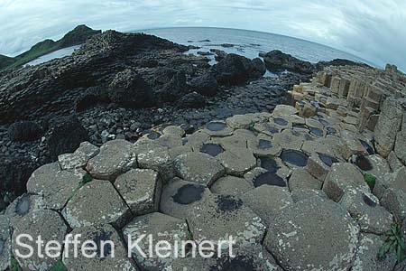 nordirland - giants causeway - basaltsaeulen 076