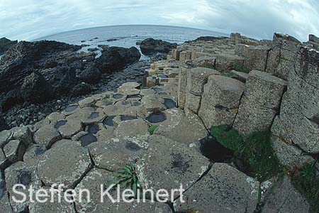 nordirland - giants causeway - basaltsaeulen 077