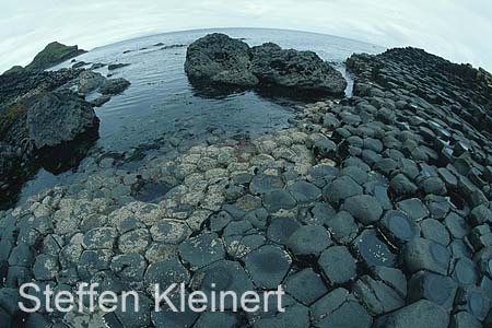 nordirland - giants causeway - basaltsaeulen 084