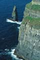 irland - cliffs of moher 043