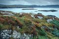 irland - ring of beara 016