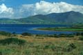 irland - ring of kerry 013
