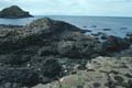 nordirland - giants causeway - basaltsaeulen 075