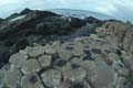 nordirland - giants causeway - basaltsaeulen 076