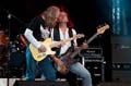 022 QUO - Status Quo Coverband