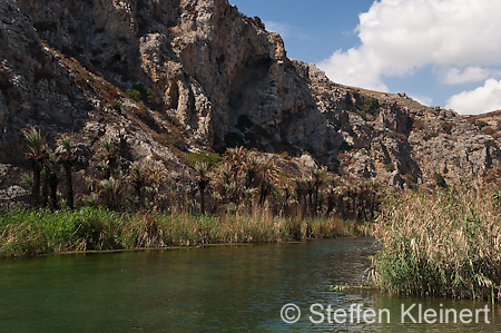 214 Kreta, Preveli, Palmenstrand