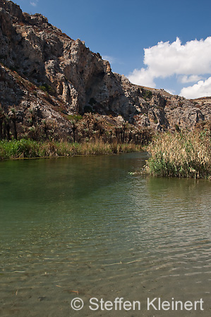 215 Kreta, Preveli, Palmenstrand