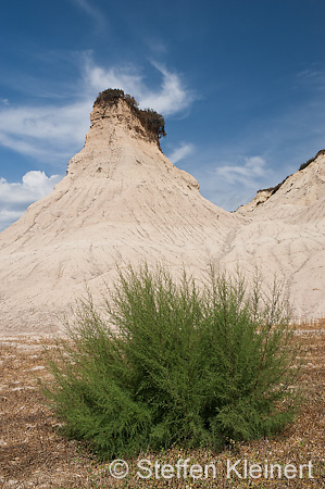 235 Kreta, Potamida Tonberge