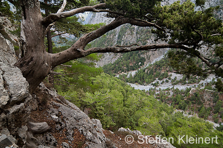 366 Kreta, Samaria Schlucht, Canyon