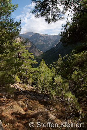 372 Kreta, Samaria Schlucht, Canyon