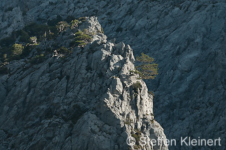 378 Kreta, Samaria Schlucht, Canyon
