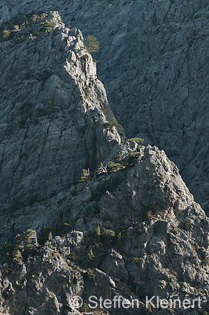 379 Kreta, Samaria Schlucht, Canyon