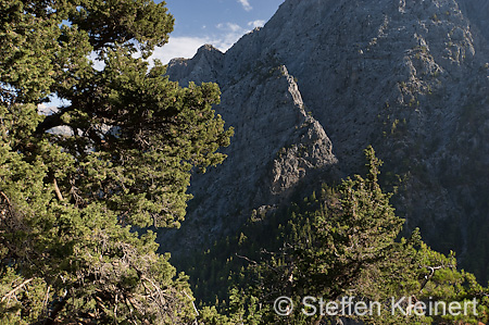 381 Kreta, Samaria Schlucht, Canyon