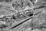 Little Wild Horse Canyon, San Rafael Swell, Utah, USA 09