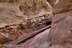 Little Wild Horse Canyon, San Rafael Swell, Utah, USA 10