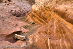 Little Wild Horse Canyon, San Rafael Swell, Utah, USA 16