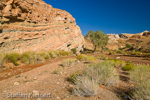 Little Wild Horse Canyon, San Rafael Swell, Utah, USA 17