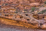 Little Wild Horse Canyon, San Rafael Swell, Utah, USA 30