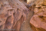 Little Wild Horse Canyon, San Rafael Swell, Utah, USA 32