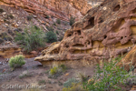 Little Wild Horse Canyon, San Rafael Swell, Utah, USA 34